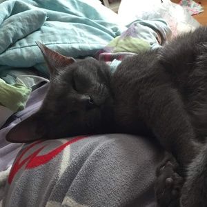 Meet your Posher, Alexis